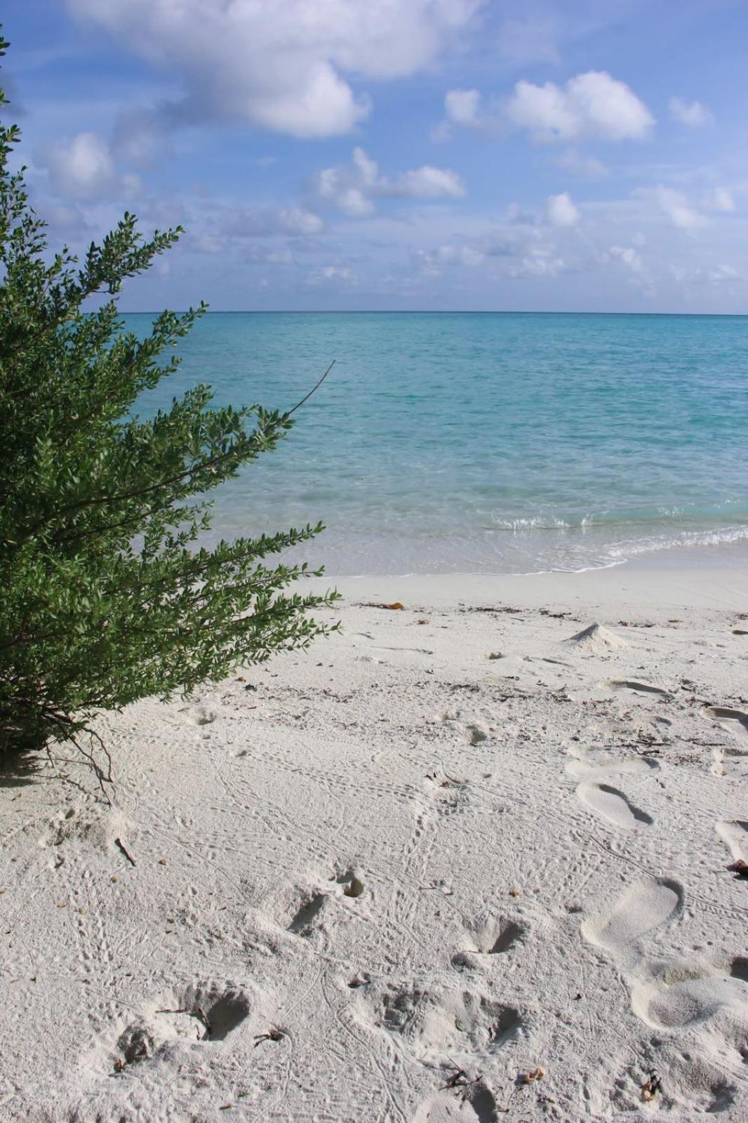 Isla Retreat Hotell Fehendhoo Eksteriør bilde